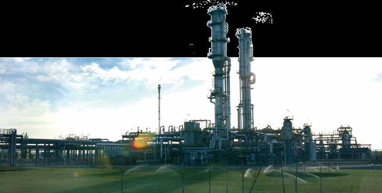 Separación del gas de entrada: El gas que ingresa a la planta es enviado a un separador Planta Separadora Loma La Lata / Neuquén La ubicación geográfica de las instalaciones es otra característica
