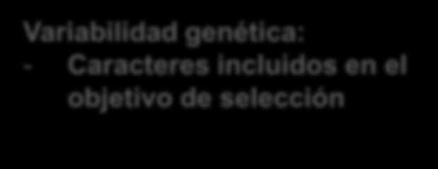 genética: - Caracteres
