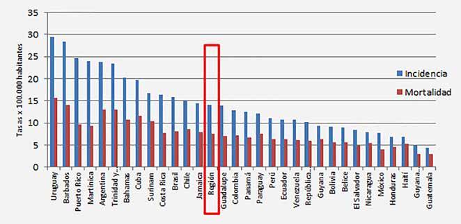 Argentina. Año 2012 Fuente: Elaboración propia en base a datos Globocan 2012 (IARC). Gráfico 16: Distribución porcentual de casos incidentes de cáncer según localización topográfica en varones.