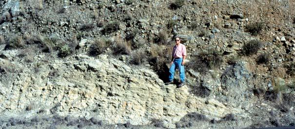 Parada 3 Las areniscas calcáreas bioclásticas del Mioceno superior Las arenas y conglomerados (de grandes bloques) se sitúan encima de areniscas muy cementadas,
