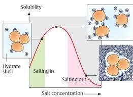 H 2 O: efecto salino Electrolitos disueltos por lo general aumentan la presión interna en el agua La presión interna del