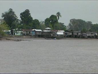 CALABAZAL Se localiza en un estuario del rio Satinga.