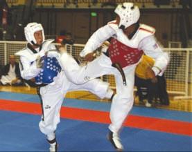 Siman pasa a sali un delegacion for di Aruba p e di 10th Disney Martial Arts Festival cu a participa den Taekwondo Olymic Style International.