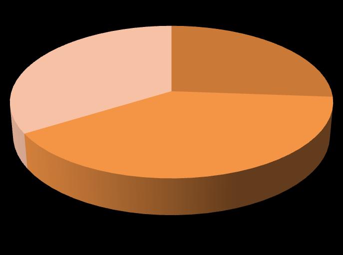 ITINERARIO PEATONAL ACCESIBLE 34% 26% 40% ZONA NORTE CASCO URBANO ZONA SUR Gráfico 1: Porcentajes de itinerario peatonal 1.20m. Fuente: Elaboración propia.