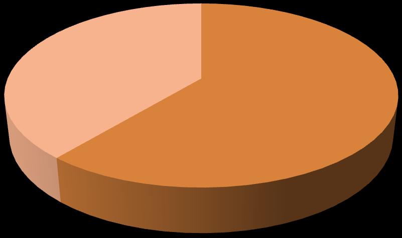 VADOS PEATONALES 39% 61% ZONA NORTE ZONA SUR Gráfico 2: Vados peatonales bien ejecutados. Fuente: Elaboración propia.