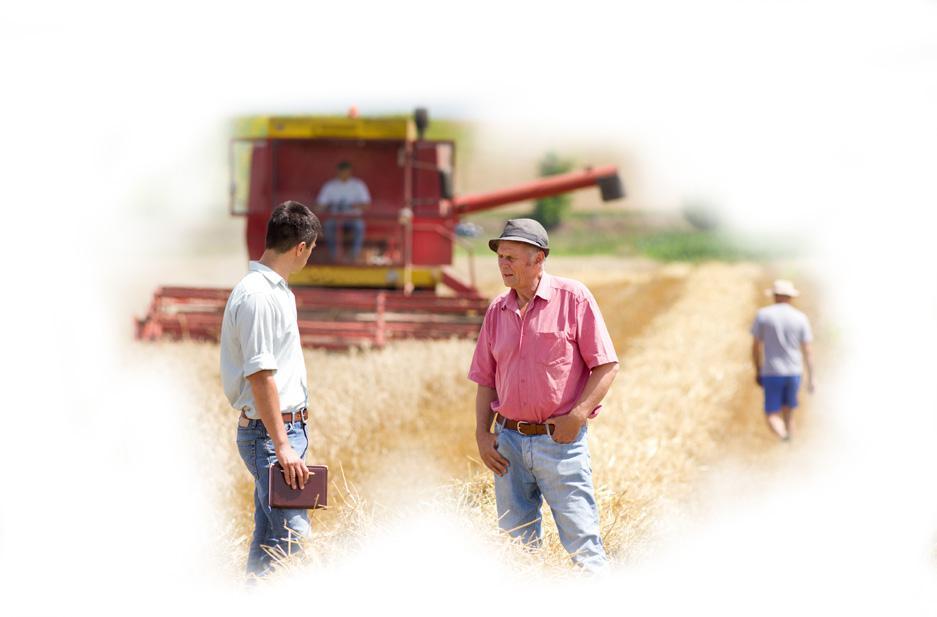 Buenas prácticas preventivas en actividades agrícolas - FVI26 Identificar los riesgos en actividades agrícolas. Promover y adoptar las medidas preventivas correspondientes. Tareas agrícolas.