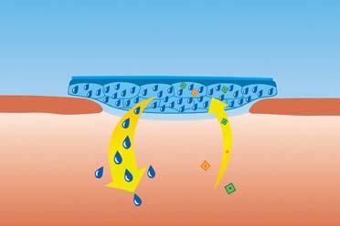Hydrosorb Modo de Acción Hidratación contínua Gracias a su alto contenido en agua Hydrosorb proporciona desde el primer momento y durante varios días humedad a la herida.
