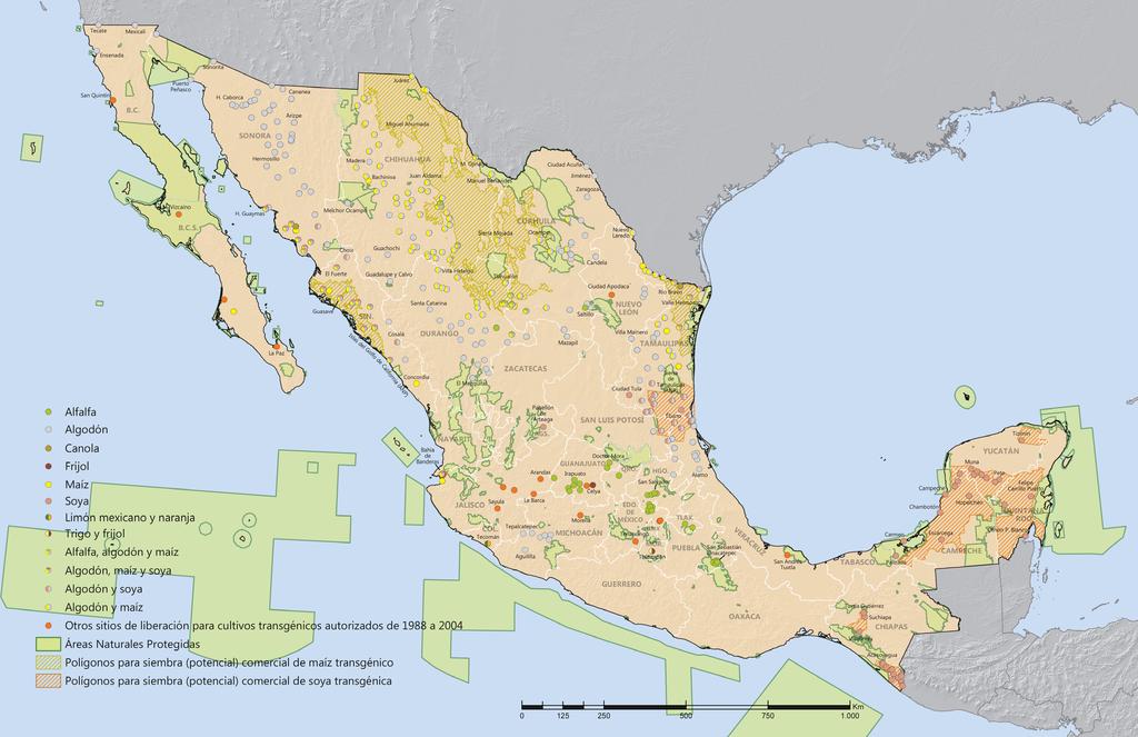 Cultivos genéticamente modificados en México (sitios de liberación solicitados de 1988 a agosto de 2017) Durante el periodo de 1988 a 2004 fueron otorgados 317 permisos a 38 empresas, institutos de