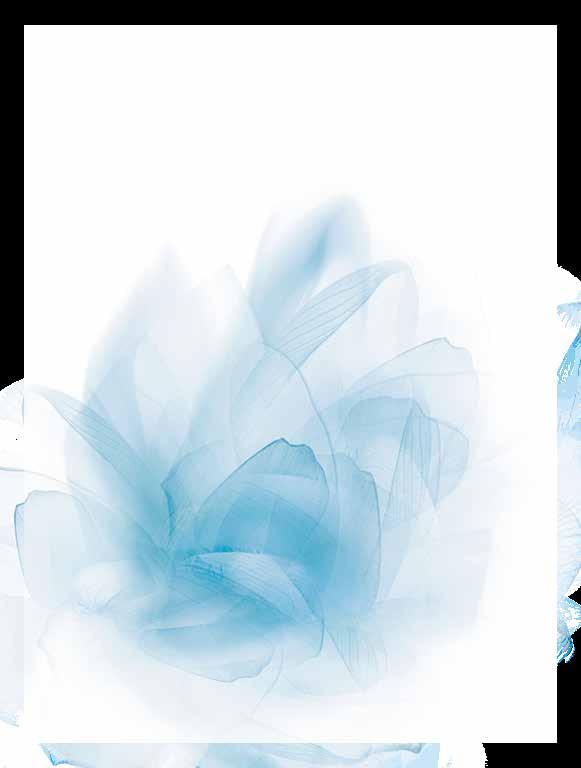 Los extractos suaves de la flor de loto azul, equilibran la piel para una suavidad a la medida. La tez luce más fresca y la piel se siente con una suavidad aterciopelada durante todo el día.