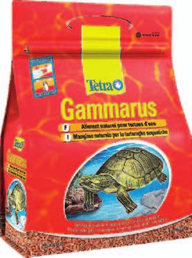 Tetra Gammarus: alimento natural para tortugas