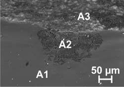 vidrio. Además, el agua había arrastrado óxidos metálicos procedentes de la grisalla (Fe 2 O 3, PbO) que se habían acumulado en la zona alterada (Figura 3, A2).