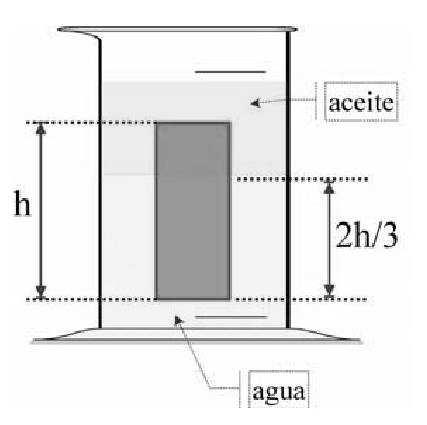 14. Un capilar de vidrio de radio r = 0.05cm se introduce en agua. Hasta qué altura se eleva el líquido dentro del capilar? Si en cambio se lo sumerge en mercurio, Cuánto baja el mercurio?