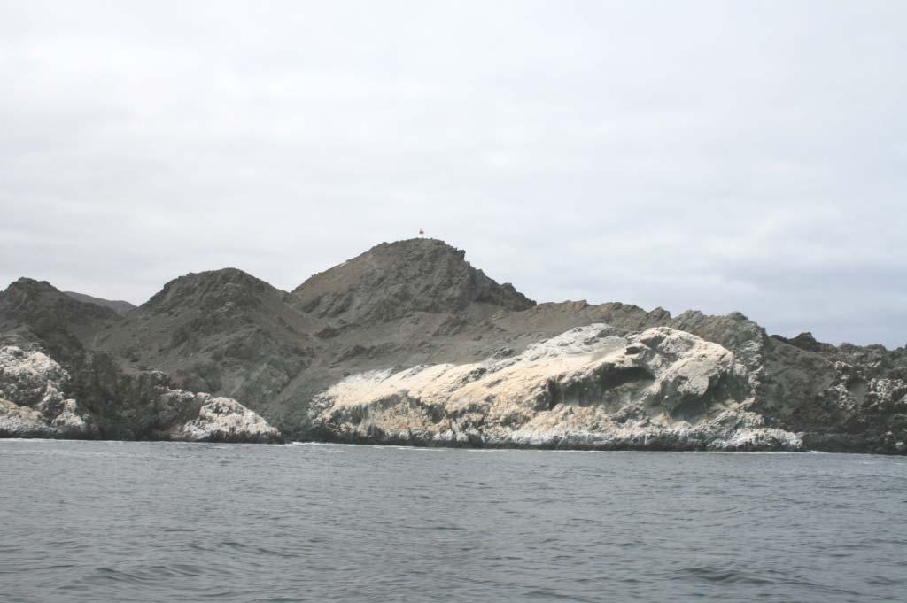 Fotografía 13. Punta Taltal.