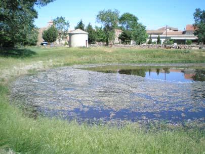 Laguna de Fuente Santa