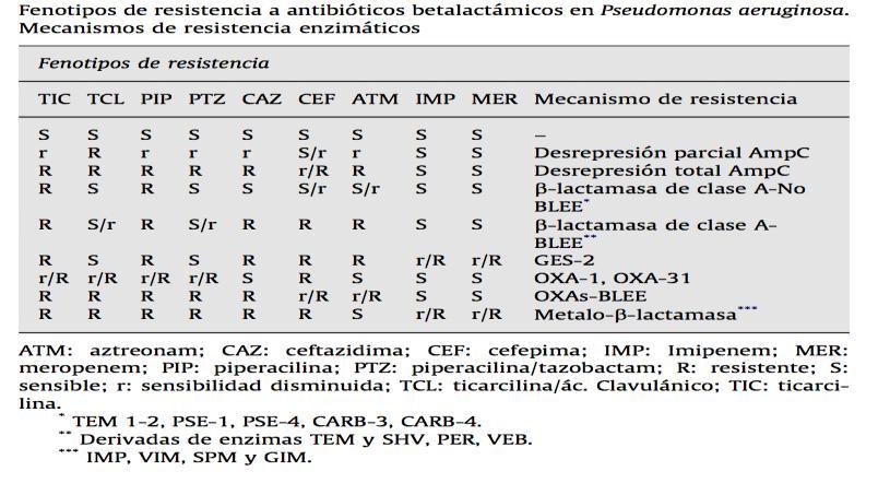 PSEUDOMONAS AERUGINOSA β-lactamasa de clase A 2c de Bush - Hidrolizan la carbenicilina, TIC y PIP. - Se inhiben con ácido clavulánico y tazobactam.