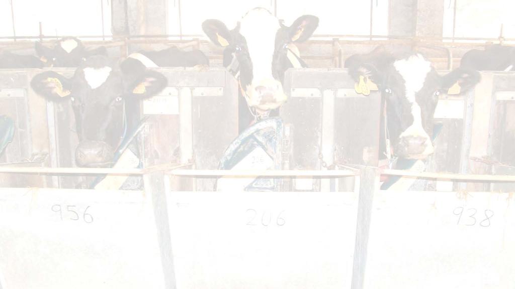 Resultados de los ensayos de producción de leche (2014) Control Inoc. Control Inoc. p Ingestión voluntaria (kg MS/vaca e día) 20.1 19.2 21.3 20.5 ns ns ns Producción de leche (kg/día) 29.4 30.1 28.