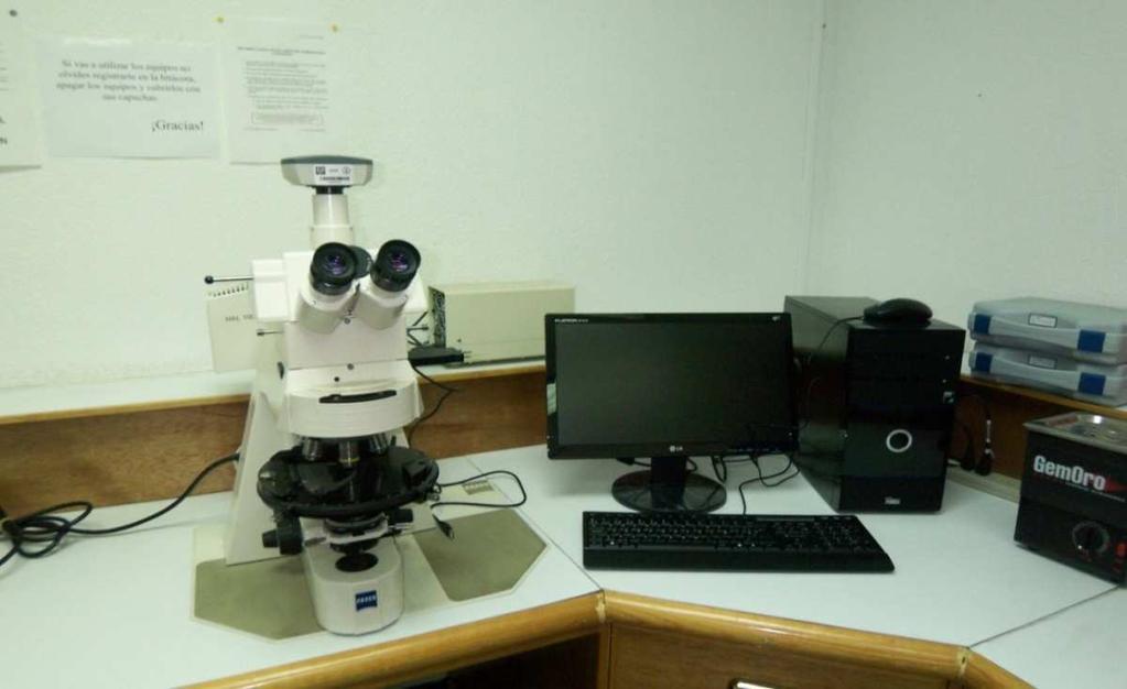 4.3 ANÁLISIS PETROGRÁFICO Y MINERAGRÁFICO Los análisis petrográfico y mineragráfico para cada una de las láminas delgadas se realizaron con un microscopio petrográfico con luz transmitida y luz