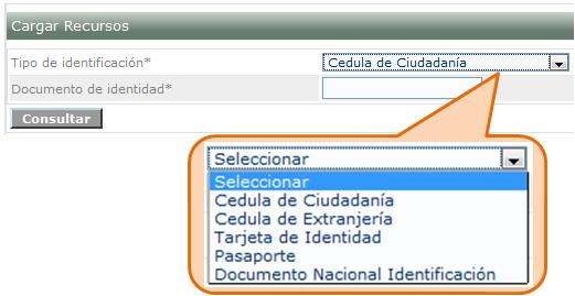 2.2. Se muestra un formulario para digitar el documento de identidad de la persona que se encuentra autorizada para realizar el cambio.