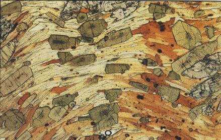 2. PLEOCROÍSMO Muchos minerales, aunque en sección delgada tengan un color, en lámina delgada pueden ser incoloros.