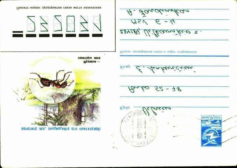 1985 Noviembre 20 : Entero postal con ilustracion de hormiga, con sello pre impreso de tipo