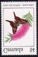 Lepidoptera : Hesperiidae.
