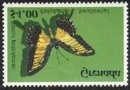 Lepidoptera : Nymphalidae : Heliconinae :