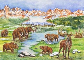 13a.- Pleistoceno Con el Pleistoceno comienza el periodo Cuaternario, hace unos 1,8 millones de años a la actualidad.