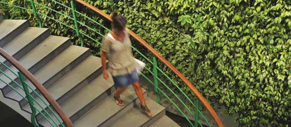 la arquitectura moderna: una pared vegetal protege el revestimiento del edificio aislándolo térmica y acústicamente,