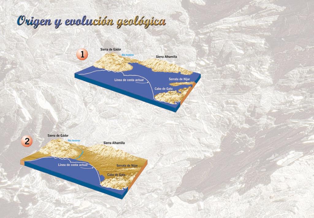 Hace 5.000.000 de años, el mar inundaba vastos territorios hoy emergidos de la Bahía de Almería.