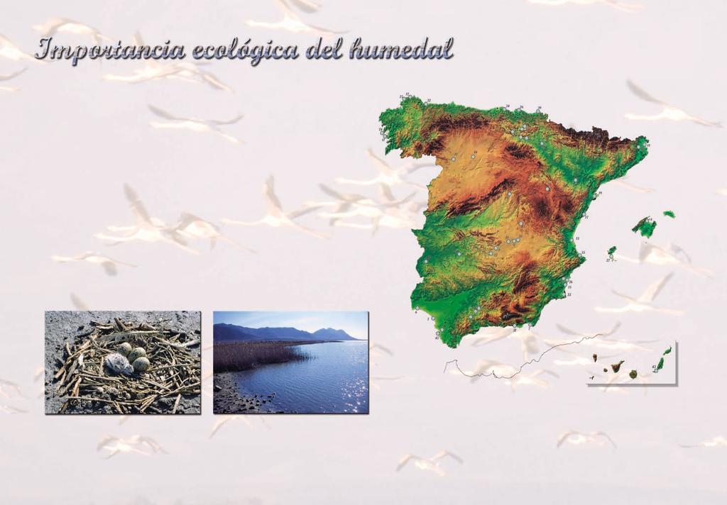 Los humedales constituyen el único tipo de ecosistemas en el planeta que dispone de un Convenio Internacional para su conservación: el Convenio Ramsar, firmado el 2 de febrero de 1971, y ratificado