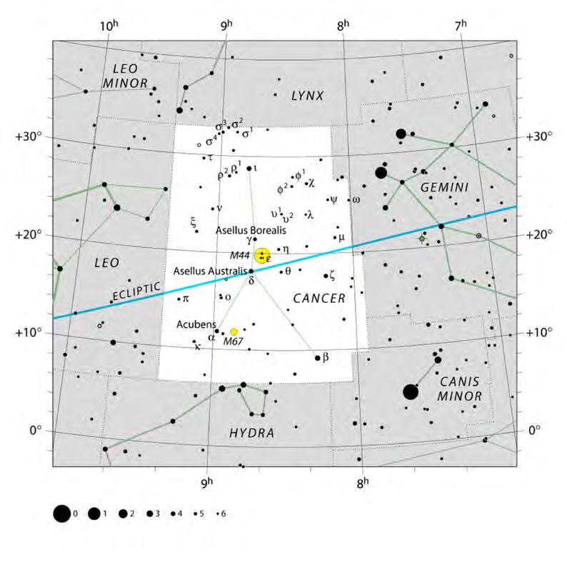 Estrellas Mag. Visual Mag. Abs. Tipo Espectral Distancia (años luz) Beta (Altarf) 3.52 0.14 K4IIIBa0.5 290 Delta (Asellus Australis) 3.94 0.83 K0III-IIIb 136 Tabla: Estrellas principales. R.A. (h m s) 08 16 31 08 44 41 Dec.