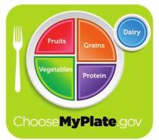 State of Illinois Department of Human Services Illinois WIC Talk Self Study Module (SSM) Name Date ACTIVITY 1: What s on your plate?