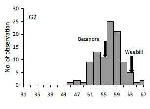 Histograma del peso individual de grano (G2) medido en 15 líneas DH (Bacanora x Weebil) Grain weight (mg) A.K. Hasan (211) PhD.