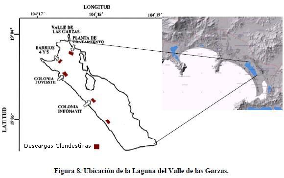 La Laguna de las Garzas podía considerarse hace 30 años como un cuerpo poikilohalino, esto es, que regulaba su salinidad por medio externos (debido a la influencia de las mareas) pero actualmente