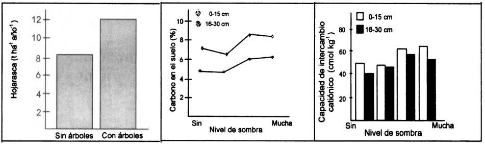 Anexo 5. Efecto de la sombra la fertilidad del suelo a) Fuente: Muschler, R. 1999. Árboles en cafetales Turrialba, Costa Rica. CATIE.