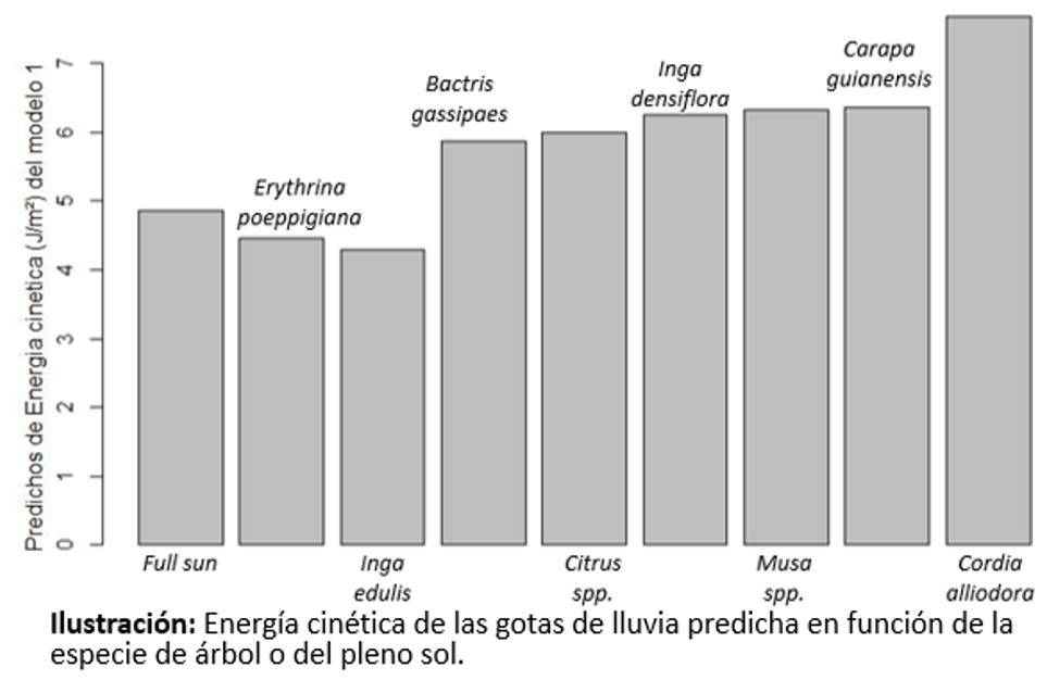 Fuente: Cabon, M. 2015. Effect of shade on microclimate, soil fertility and productivity of coffee trees in Costa Rica. Turrialba, Costa Rica. Report Internship job. CIRAD-CATIE. 31 p. Anexo 13.