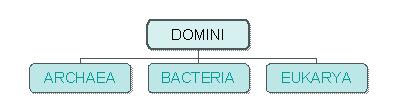 Dominios Archaea: (37) organismos unicelulares,carecen de núcleo como las bacterias. Se diferencian a nivel molecular. Ejemplo: Bacterias extremas (termófilas) etc.