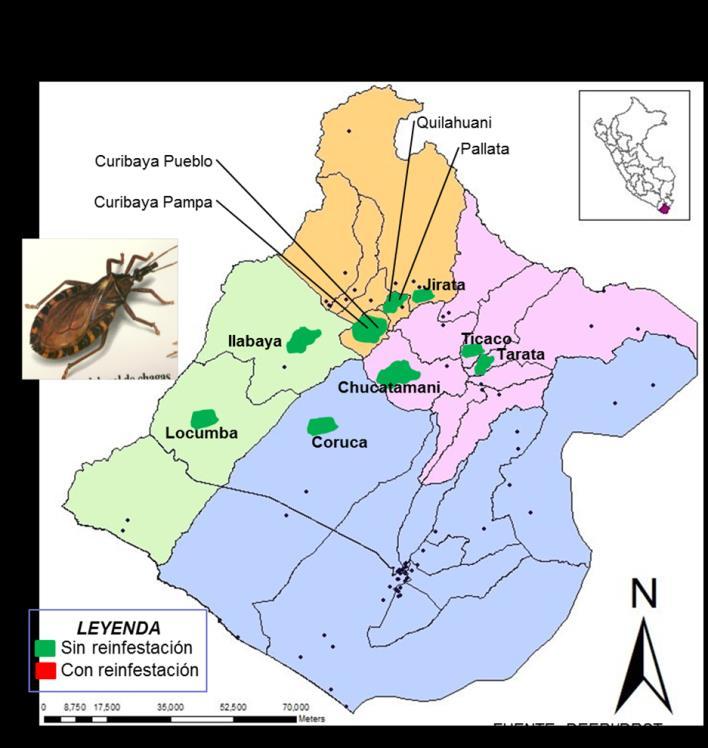 La Región de Salud Tacna, luego de haber CERTIFICADO la interrupción de la transmisión vectorial de la enfermedad de Chagas en diciembre del 2009, continúa con la vigilancia entomológica en los