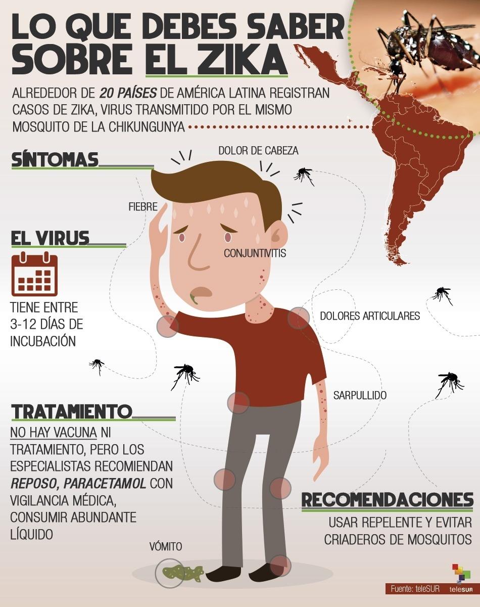 Zika, mosquitos transgénicos y la teoría