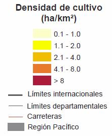 Se produce la mayor canmdad de coca 21% del total nacional (SIMCI 2010) Tumaco y en especial la zona del Alto Mira concentra una gran extensión de culmvos con una densidad superior a 4 Has/Km2 (SIMCI