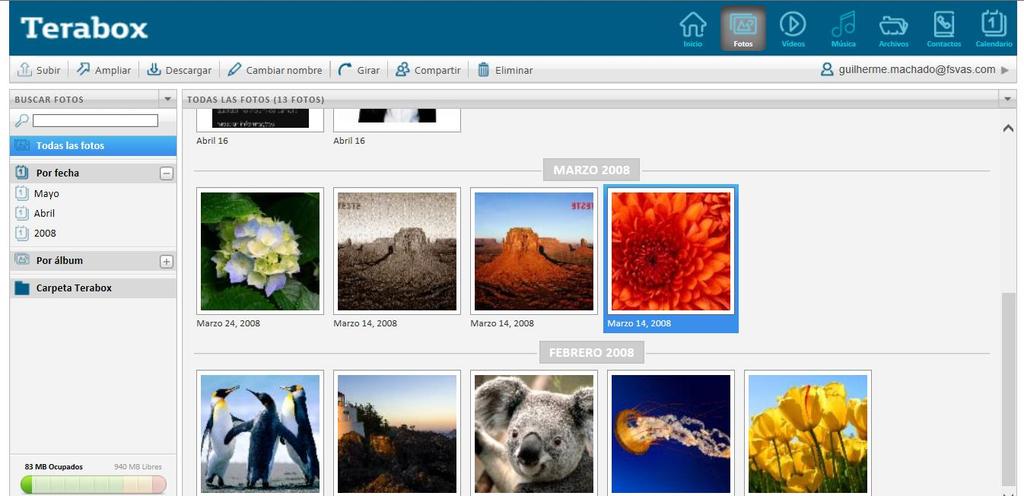 Para los usuarios que tienen muchas fotos almacenadas, Terabox cuenta con una herramienta de búsqueda para facilitar la ubicación de una foto específica.