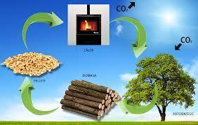 Software Gestión de Biomasa Producción de A.C.