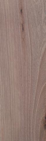 Madera semipesada 0,34 % madera muy estable 1,45% sin tendencia a atejar 3,8 madera semidura 970 kg/cm 2 113.