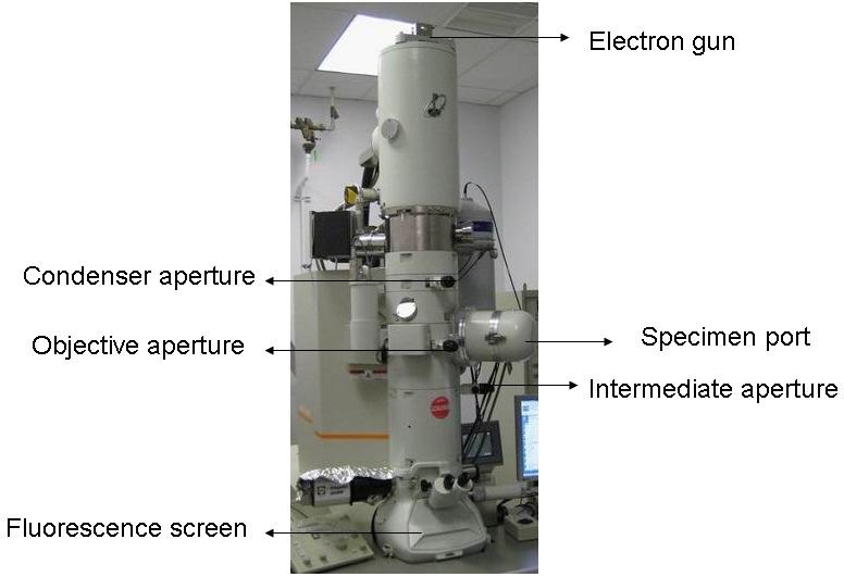 Microscopía electrónica de transmisión (TEM) Cañón de electrones Apertura de