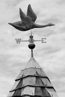 A wind vane shows