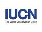Órganos Consultivos Centro Internacional de Estudios para la Conservación y la Restauración de Bienes