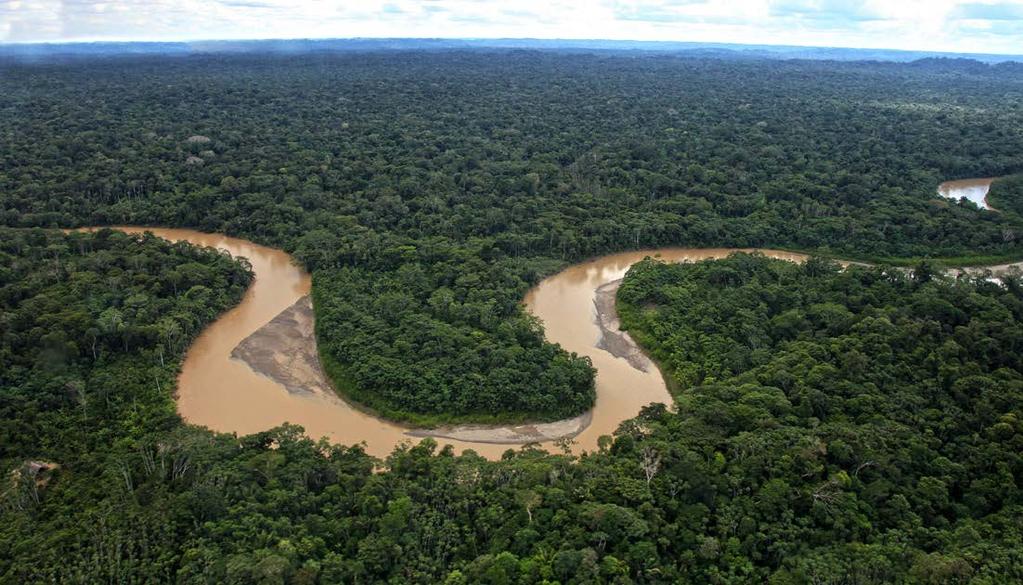 Instituto para el Ecodesarrollo Regional Amazónico GUÍA DE BUENAS