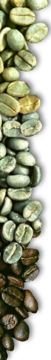 Soporte Técnico: Identificación de la Propuesta Técnica Propuesta integral y progresiva Componentes: podas de café, arboles de sombra, fertilización,