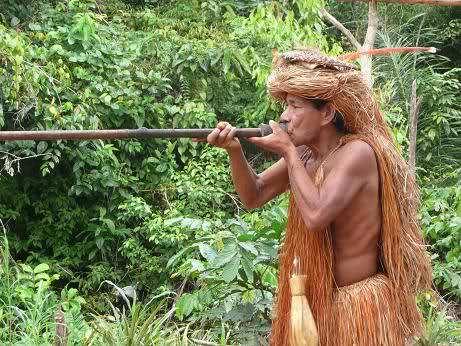 MENISPERMACEAE Y LOGANIACEAE CURARE: Indígenas del Amazonas, este veneno se extrae de las raíces de una planta.