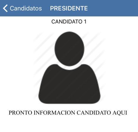 Presionando la opción de ver candidatos la Aplicación mostrará los puestos y candidatos disponibles a elegir para el proceso de elección en curso.